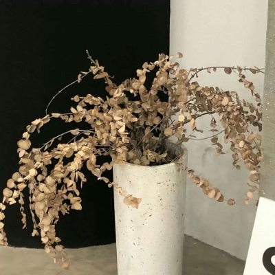 兽设原创改稿思路兽圈社群